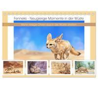 Fenneks - Neugierige Momente in der Wüste (Tischkalender 2027 DIN A5 quer), CALVENDO Monatskalender: Wenn riesige Ohren durch die Wüste streifen