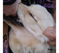 It'S Hard For Me To Say I'M Sorry - Jim O'Rourke (Audio cd)