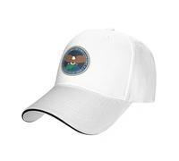 Fenomeni Aerei Non identificati Task Force (UAPTF) Insegne Berretto da Baseball Cappello da Palla Selvaggia Golf Hip Hop Golf Abbigliamento Uomo Donna