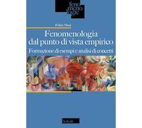 Fenomenologia dal punto di vista empirico. Formazione di esempi e analisi di concetti