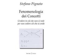 Fenomenologia dei concetti. Credere in ciò che non si vede per non vedere ciò che si crede