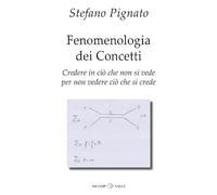 Fenomenologia dei concetti. Credere in ciò che non si vede per non vedere ciò che si crede