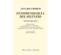 Fenomenologia del silenzio