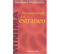 Fenomenologia dell'estraneo