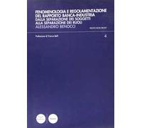 Fenomenologia e regolamentazione del rapporto banca-industria. Dalla separazione dei soggetti alla separazione dei ruoli