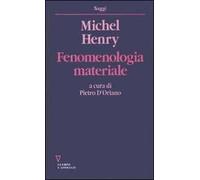 Fenomenologia materiale
