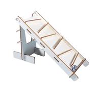 Fenteer Esperimento Prop STEM Building Set Simulazione realistica Fai da Te Bambini dai 6 Anni in su Migliora Le abilità Apprendimento Costruzione Giocattolo