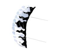 Fenteer Outdoor Parafoil Kite Aquilone Acrobatico Aquilone Aquilone Sportivo con Bobina in Poliestere Resistente Facile da Pilotare Adatto per Bambini R, Nero Bianco
