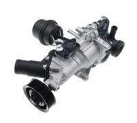 Feoosvx Pompa Acqua AUT per Classe A W176 1.6L-2.0L 2012-2018 Classe B W246 1.6L-2.0L 2011-2018 per GLA X156 1.6L-2.0L 2013-2020# 2702000000 Pompa Acqua