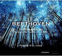 Ferenc Vizi - Beethoven Variations Diabelli opus 120, 6 bagatelles opus 126 by Ferenc Vizi (2014-08-12j