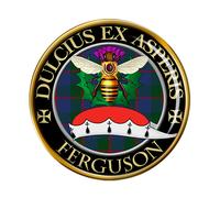 Ferguson Clan Scozzese Spilla