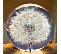 Fermacarte a forma di dente di leone, una palla da sogno. Sfera desiderabile di cristallo. Fermacarte unico in dente di leone. Il regalo perfetto (9 cm) di diametro