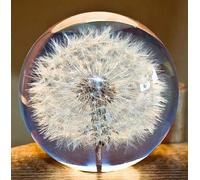 Fermacarte con ciondolo a forma di dente di leone e sfera di cristallo a forma di sfera di desiderio unico in forma di dente di leone Il regalo perfetto (7 cm)