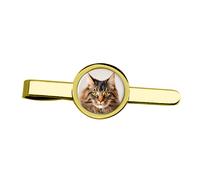 Fermacravatta Maine Coon Cat