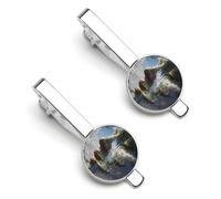 Fermacravatte da uomo Mother Earth, spilla per cravatta, accessori formali per abito da lavoro, confezione da 2