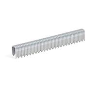 Fermagli ad arco zincato REGUR tipo 28-2.000 fermagli rotondi nella lunghezza 28/10 mm - fermagli di graffatura per il fissaggio di reti metalliche, cavi, tronchi e molto altro.