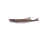 Fermagli di pesce fermaglio per capelli pesce essiccato divertente pesce pesce clip piatta forcina frutti di mare ripieno fermaglio per capelli per mazzi di fiori