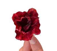 Fermagli floreali per capelli a forma di fiore, forcine per capelli da principesse, forcine per capelli per donne e ragazze