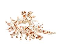 Fermagli in conchiglia per capelli, accessorio per capelli per ragazze, clip per capelli decorativi per donne, serata, spiaggia, matrimoni, feste