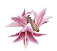 Fermagli Per Capelli Clip a forma di fiore di giglio, temperamento, clip a forma di squalo sulla parte posteriore della testa, clip a forma di squalo for una vacanza al mare(1pc pink)