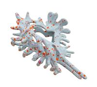 Fermaglio a forma di conchiglia, accessorio per capelli da ragazza, da donna, antiscivolo, per matrimoni, vacanze, uso quotidiano, sport, feste