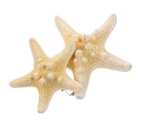 Fermaglio Chioma Stella a Cinque Punte in Resina Beige, 2 Pezzi | Decorazione Elegante per Ragazze e Donne, Adatto a Feste tra Amiche e Incontri, Misura Circa 5-10cm Colore Casuale