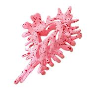 Fermaglio per capelli a conchiglia - forcina creativa per capelli a forma di squalo, 4 colori, clip decorativa da donna, accessorio per capelli antiscivolo | per gli sport quotidiani di nozze