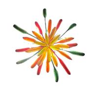 Fermaglio Per Capelli A Di Fuoco Per Capodanno,Forcine Colorate Leggere Antiscivolo - Per Acconciatura Capelli - Per Feste Festival Salon Casa Viaggio Matrimonio Party Estate Quotidiano E Occasioni