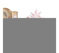 Fermaglio per capelli a forma di conchiglia, accessorio antiscivolo per capelli, forma elegante, ornamento per capelli unico ispirato alla spiaggia, clip per capelli resistente per