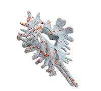 Fermaglio per capelli a forma di conchiglia, clip per capelli con presa forte, accessorio alla moda per acconciature di tutti i giorni, clip per capelli colorati
