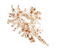 Fermaglio per capelli a forma di conchiglia, fermaglio per capelli creativo, artiglio per capelli a conchiglia, capelli estivi per le vacanze, artigli in stile costiero per coda di cavallo,