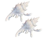 Fermaglio per capelli a forma di conchiglia marina elegante in acrilico accessori per lo styling dei capelli per le donne a tema evento Dressingup copricapo 2 PZ