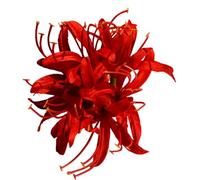 Fermaglio per capelli a forma di fiore di seta fatto a mano con nappe antiche cinesi antiche barrette per capelli per matrimonio nuziale doccia usura