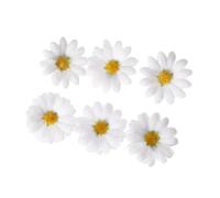 Fermaglio per capelli a forma di fiore di sole per festa di compleanno elegante Bellis Clip per capelli Sidepin donne ragazza bella barrettes dolce copricapo 6PCS ornamento