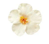 Fermaglio per capelli a forma di fiore in stile hawaiano per donne e ragazze, clip laterale antiscivolo per feste in spiaggia e fotografia di primavera