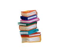 Fermaglio per capelli a forma di libro, arancione, a forma di libro, per insegnanti, per donne e amanti dei libri, extension per coda di cavallo (arancione, taglia unica)