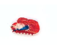 Fermaglio per capelli a forma di pesce Betta rosso, divertente fermaglio per capelli in acetato a forma di creatura marina, graziosi accessori per capelli in acetato, nuovo grande artiglio barrettes