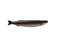 Fermaglio per capelli a forma di pesce realistico per acconciature divertenti e alla moda pesce essiccato portachiavi zaino