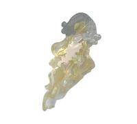 Fermaglio per capelli alla moda a forma di medusa in acetato accessorio per capelli da donna per donne in cerca di moda e individualità