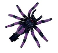 Fermaglio per capelli con ragni giocosi, forcine per capelli divertenti per ragazze per tutti i giorni e per feste