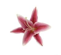 Fermaglio per capelli da donna con fiore di giglio 3D, fermaglio per capelli dai colori vivaci, accessorio compatto per lo styling da indossare tutti i giorni, feste, giochi di ruolo, mezzi