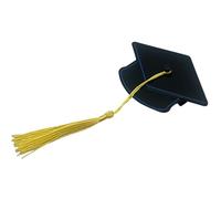 Fermaglio per capelli di laurea | Carina mini fermaglio per capelli stabile con nappa - Accessori per feste di laurea - per donna cerimonia di laurea laurea Dottorato Spiaggia Vacanze Quotidiane