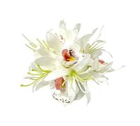 Fermaglio per capelli in plastica con fiore 3D per donne Summer Side Pin Accessorio durevole Uso quotidiano Varie occasioni Squisito Bang Resistente allo sbiadimento Bianco