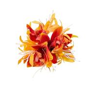 Fermaglio per capelli in plastica con fiore 3D per le donne Summer Side Pin Accessorio durevole Uso quotidiano Varie occasioni Squisito Bang Resistente allo sbiadimento Arancione