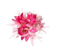 Fermaglio per capelli in plastica con fiore 3D per le donne Summer Side Pin Accessorio durevole Uso quotidiano Varie occasioni Squisito Bang Resistente allo sbiadimento Rosa