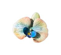 Fermaglio per capelli realistico a forma di farfalla, con design 3D, per donne e ragazze, ideale per feste ed eventi speciali