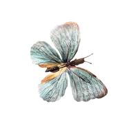 Fermaglio per capelli realistico a forma di farfalla, con design 3D, per donne e ragazze, ideale per feste ed eventi speciali