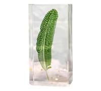 Fermalibri rettangolari unici con fermalibri piumati, 1 pezzo, fermalibri in cristallo, robusti, per amici, decorazione antica (piccolo)