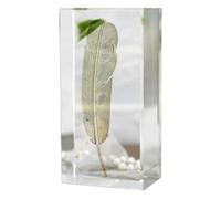 Fermalibri rettangolari unici con fermalibri piumati, 1 pezzo, fermalibri in cristallo, robusti, per amici, decorazione antica (S - C)