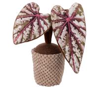 Fermaporta 1 kg, pothos artificiale in tessuto, Garden